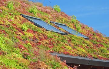 Hollesley living roof systems