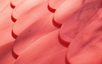 Hollesley plastic roof costs