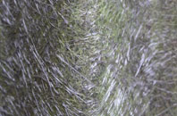 Hollesley fibreglass roof work